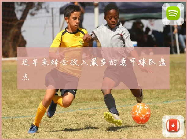 近年来转会投入最多的意甲球队盘点